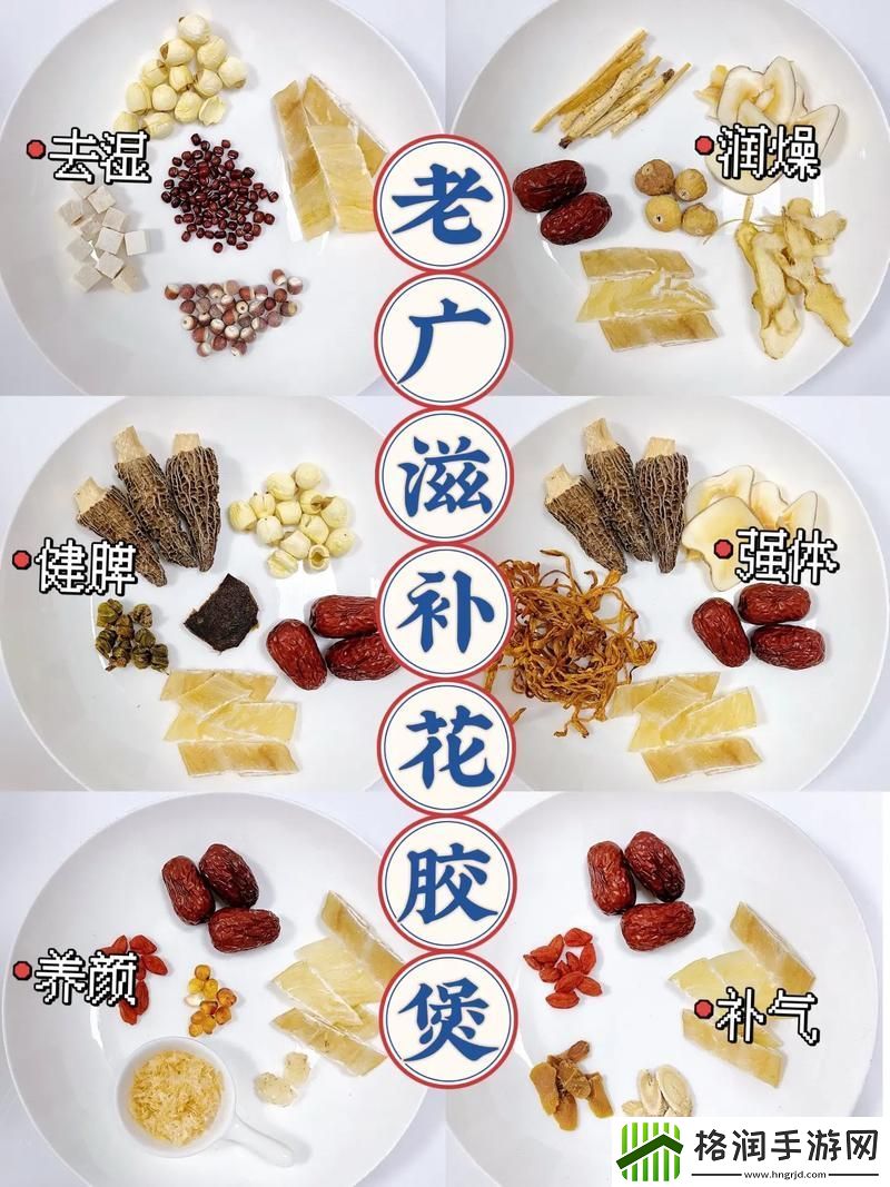 探索人狗胶配方大全高清的奥秘与用途游戏玩法