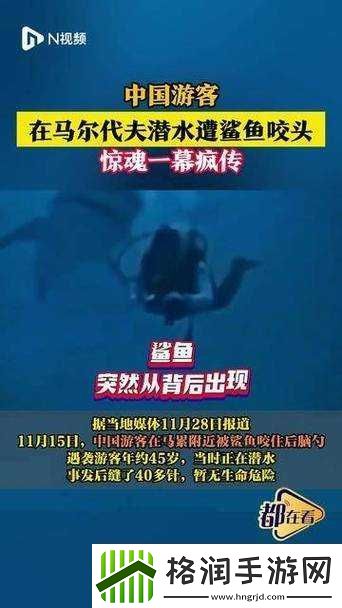 潜水员戴夫被虎鲨咬住怎么办