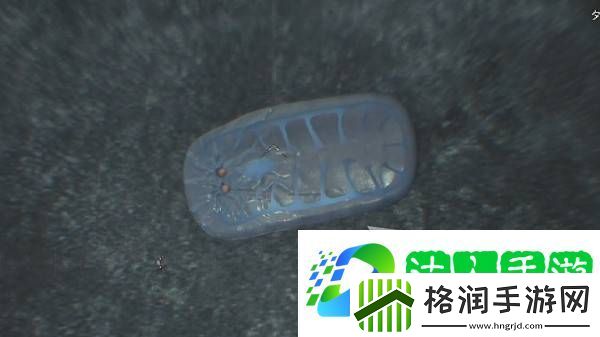 怪物猎人荒野大虚无动在哪捕获