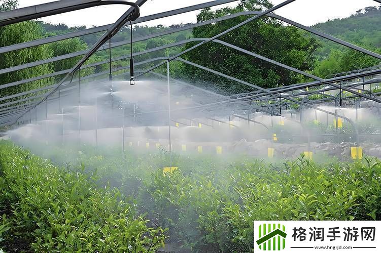 探索“优质jing液灌溉系统”的未来农业之路