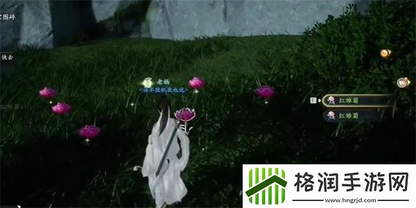射雕