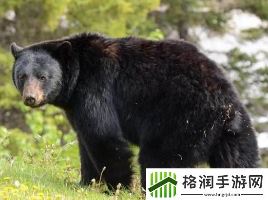 你敢信吗
