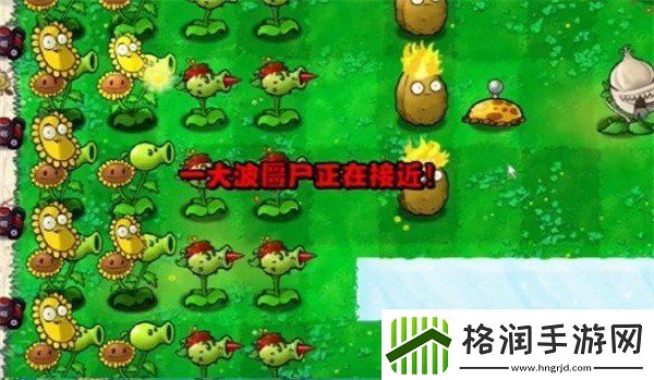 植物大战僵尸杂交版冒险模式第3关通关技巧