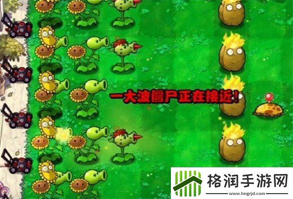 植物大战僵尸杂交版冒险模式第3关通关技巧