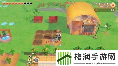 牧场物语蜜糖村浇水