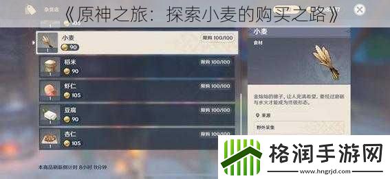 原神之旅
