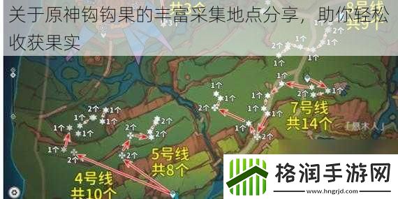 关于原神钩钩果的丰富采集地点分享