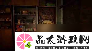 潜行者2夜莺的狩猎支线任务怎么玩