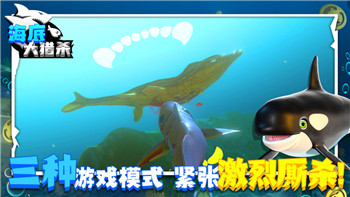 孤胆枪手2重装上阵隐藏点分布图及其影响玩家策略的重要性分析
