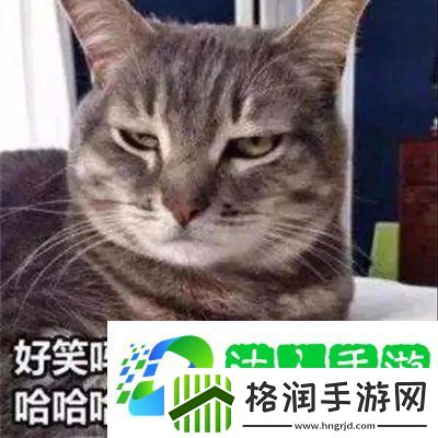 参见老婆表情包