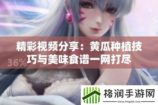 精彩视频分享