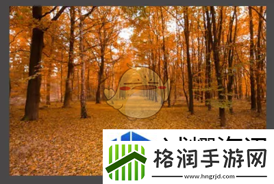 社交互动游戏技巧
