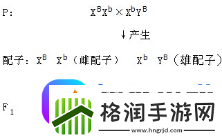 性xBxBlxBxBxB网友