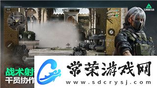 波西亚时光多余的芯片都卖掉嘛