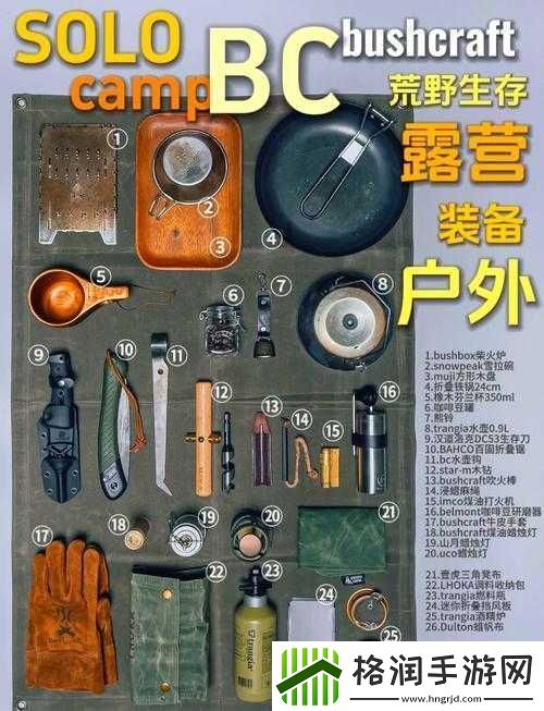 必看往日不再野外武器保存秘籍！90%玩家都不知道的生存诀窍