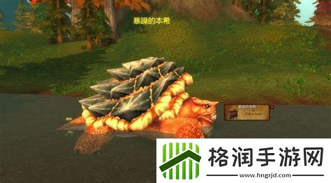 魔兽世界怀旧服龟壳在哪里刷