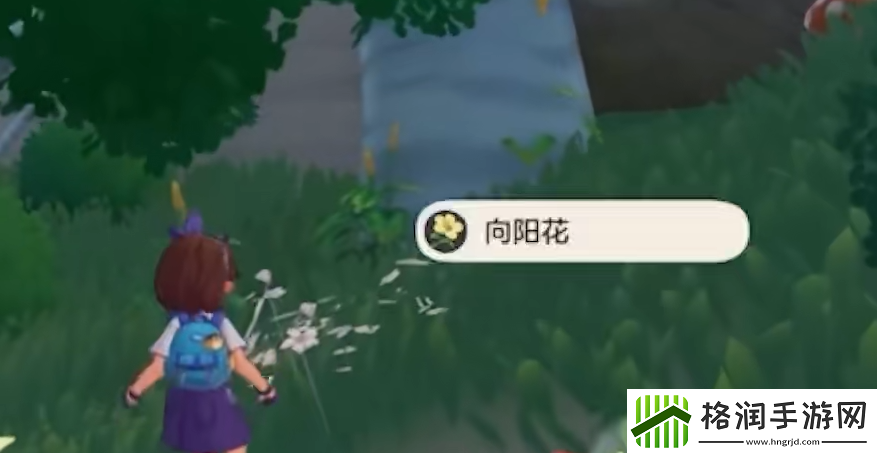 洛克王国