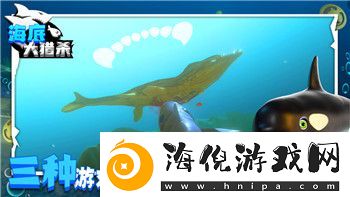 重建家园医生武器的样式与选择探讨其对游戏策略的影响与发展