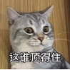 游时光机
