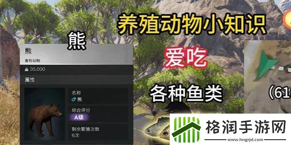 七日世界养殖什么动物最好