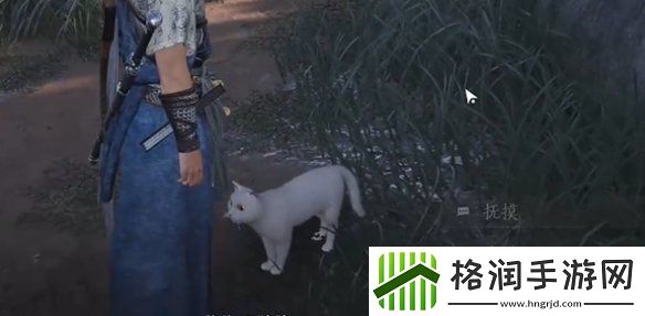 燕云十六声七阀坡猫咪在哪