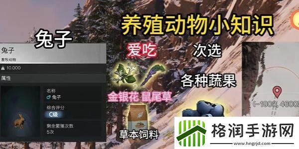 七日世界养殖什么动物最好