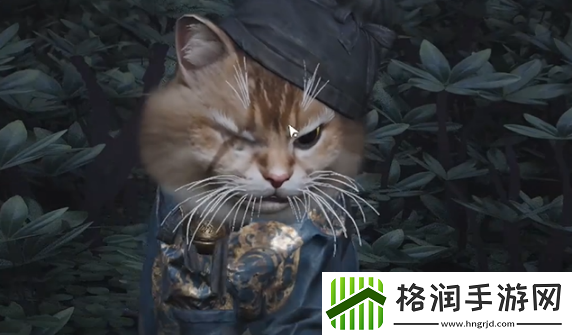 燕云十六声七阀坡猫咪在哪