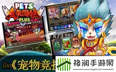 宠物竞技场玩法介绍