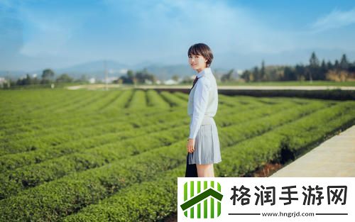 成都私人高清影院加盟中文版