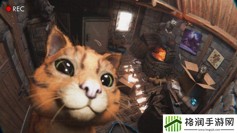 方舟生存飞升可爱新生物“猫”上线