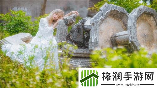 此网站三天换一次域名